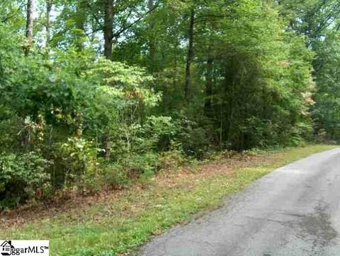 110 Hambys Way, Pickens, SC 29671 photo 1
