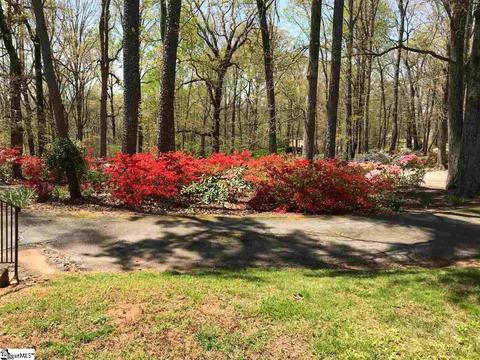 155 Blacksnake Rd, Pickens, SC 29671 photo 27