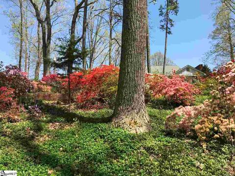 155 Blacksnake Rd, Pickens, SC 29671 photo 28