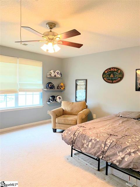 209 Juniper Leaf Way, Greer, SC 29651 photo 18