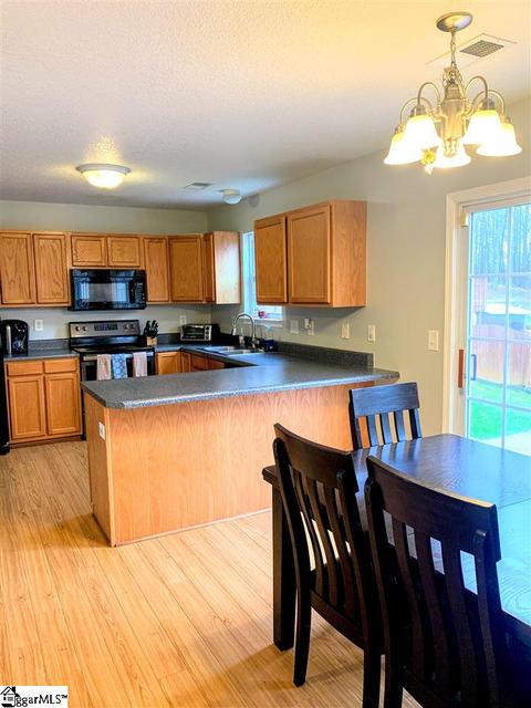 209 Juniper Leaf Way, Greer, SC 29651 photo 9