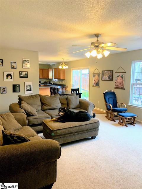 209 Juniper Leaf Way, Greer, SC 29651 photo 11