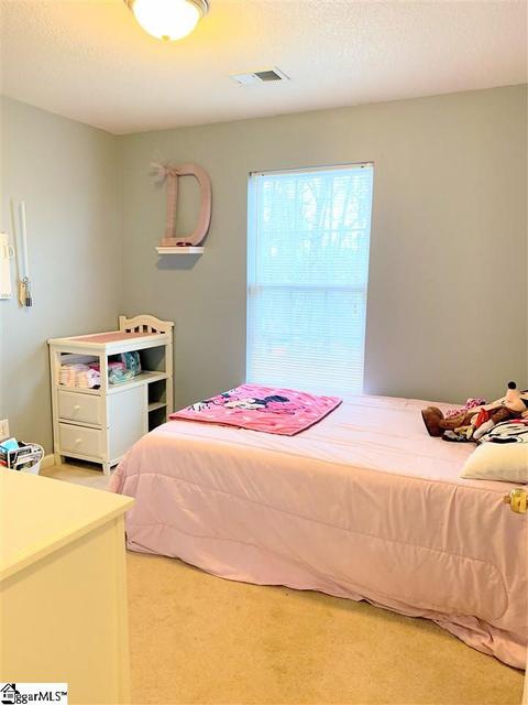209 Juniper Leaf Way, Greer, SC 29651 photo 16