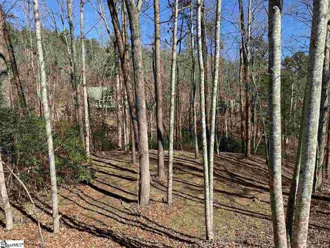 115 Youngdeer Trl, Sunset, SC 29685 photo 11