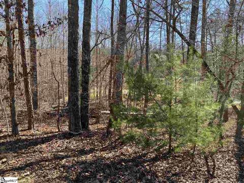 115 Youngdeer Trl, Sunset, SC 29685 photo 16