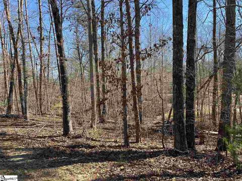 115 Youngdeer Trl, Sunset, SC 29685 photo 17