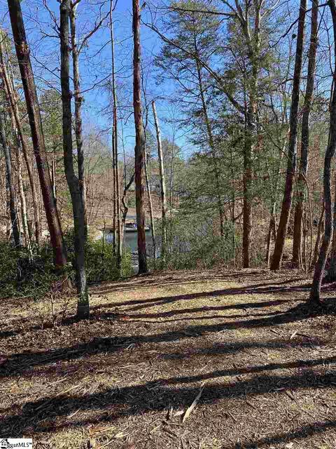 115 Youngdeer Trl, Sunset, SC 29685 photo 3