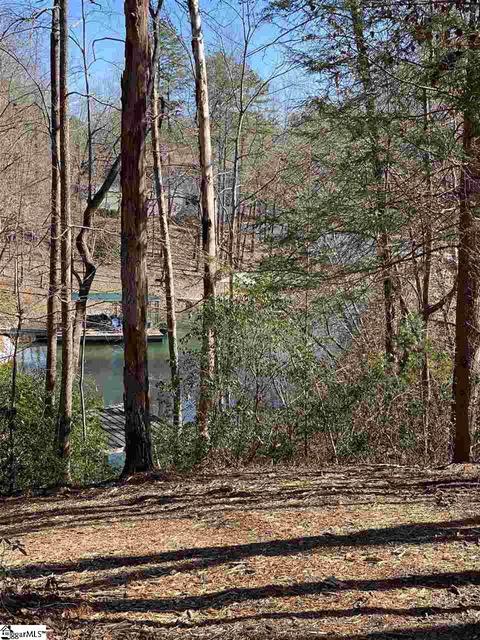115 Youngdeer Trl, Sunset, SC 29685 photo 1