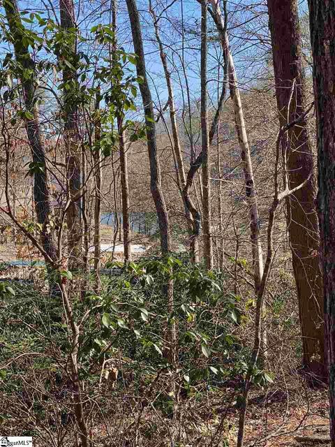 115 Youngdeer Trl, Sunset, SC 29685 photo 8
