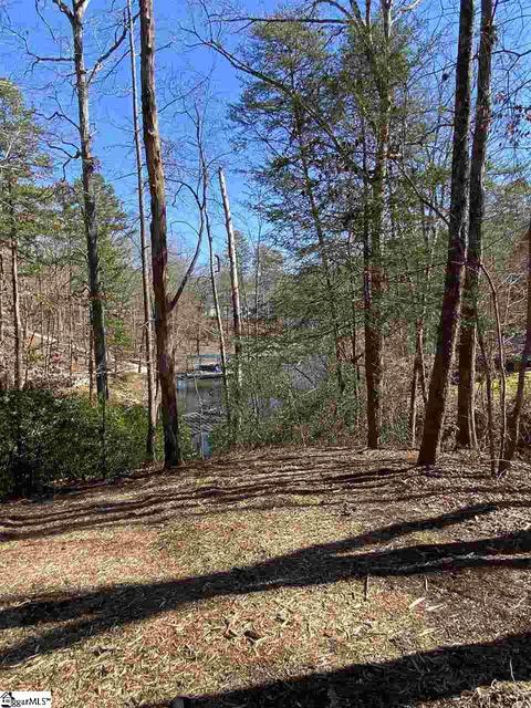 115 Youngdeer Trl, Sunset, SC 29685 photo 7