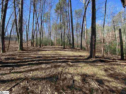 115 Youngdeer Trl, Sunset, SC 29685 photo 5