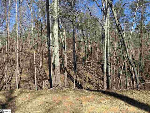 115 Youngdeer Trl, Sunset, SC 29685 photo 12