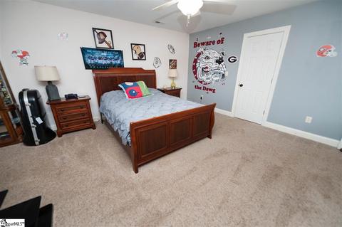 9 Caperton Way, Greer, SC 29651 photo 22