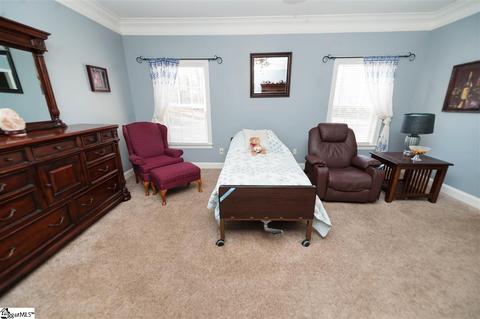 9 Caperton Way, Greer, SC 29651 photo 18