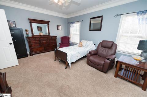 9 Caperton Way, Greer, SC 29651 photo 17