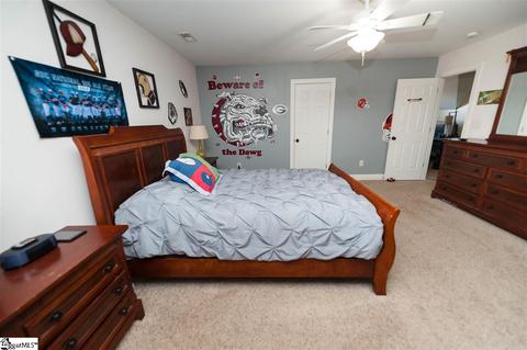 9 Caperton Way, Greer, SC 29651 photo 23