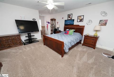 9 Caperton Way, Greer, SC 29651 photo 20