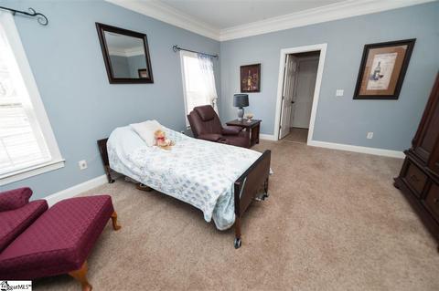 9 Caperton Way, Greer, SC 29651 photo 19