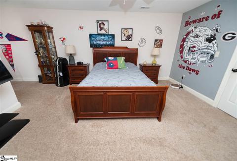 9 Caperton Way, Greer, SC 29651 photo 21