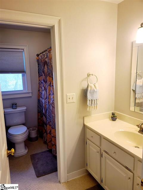 16 Briarpark Dr, Greer, SC 29651 photo 17