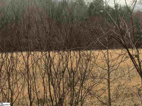 Undisclosed, Easley, SC 29640 photo 5