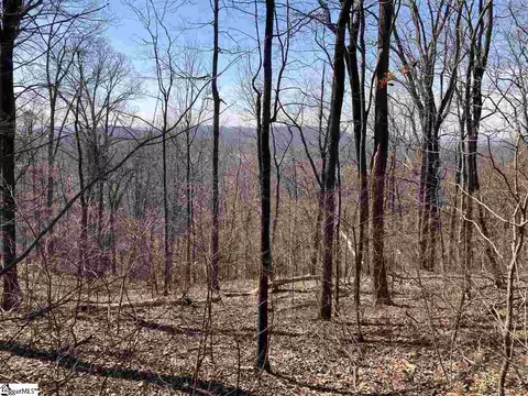 Outcrop Trail Lot 170, Landrum, SC 29356