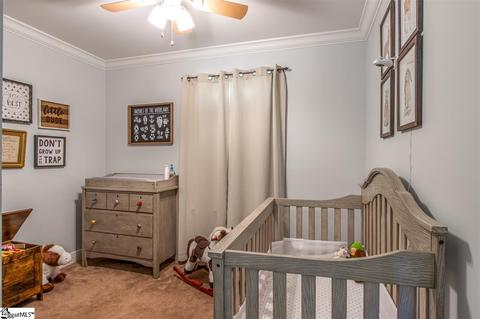 250 Courtney Street Ext, Pelzer, SC 29669 photo 11