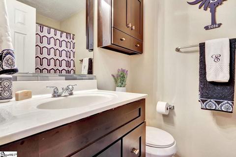 228 Canvasback Way, Easley, SC 29642 photo 23