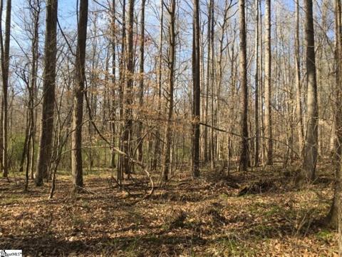 899 Hampton Rd, Lyman, SC 29365 photo 6