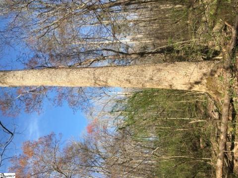 899 Hampton Rd, Lyman, SC 29365 photo 14