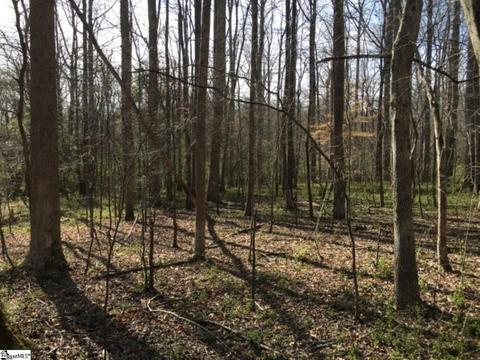 899 Hampton Rd, Lyman, SC 29365 photo 35