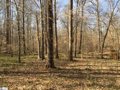 899 Hampton Rd, Lyman, SC 29365 photo 19
