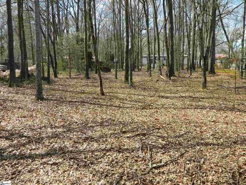106 Harrisburg Dr, Pelzer, SC 29669 photo 1
