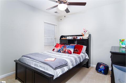 108 Constantine Way, Greer, SC 29650 photo 23