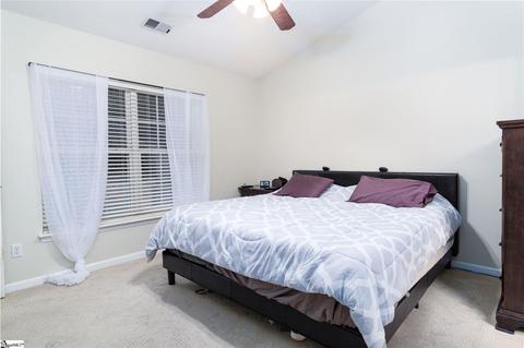 108 Constantine Way, Greer, SC 29650 photo 19