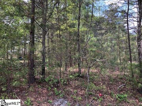 105 Katora Ln, Pelzer, SC 29669 photo 1