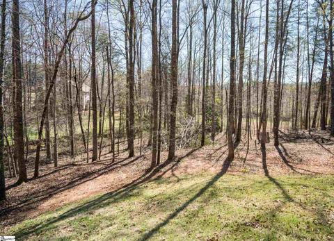5 Pine Trail Ct, Greer, SC 29651 photo 28
