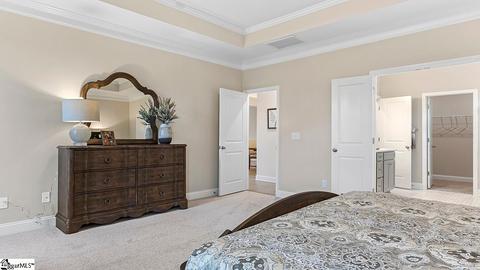 3 General Store Way, Greer, SC 29650 photo 17