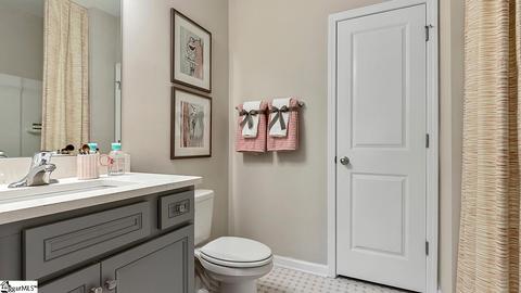 3 General Store Way, Greer, SC 29650 photo 31