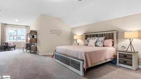 3 General Store Way, Greer, SC 29650 photo 28