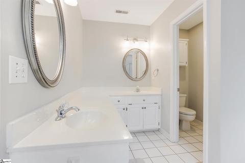 9 Shadetree Ct, Greer, SC 29651 photo 20