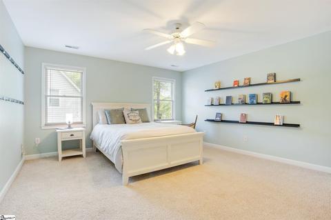 9 Shadetree Ct, Greer, SC 29651 photo 22