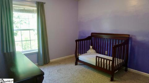 131 Cotter Ln, Greer, SC 29650 photo 14