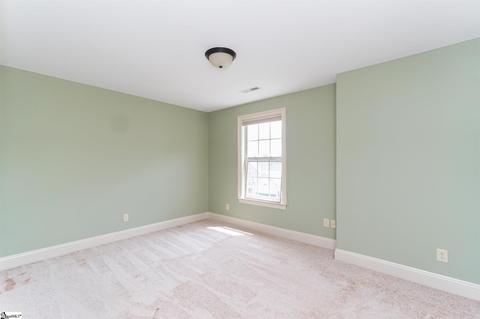119 Elevation Ct, Greer, SC 29651 photo 18