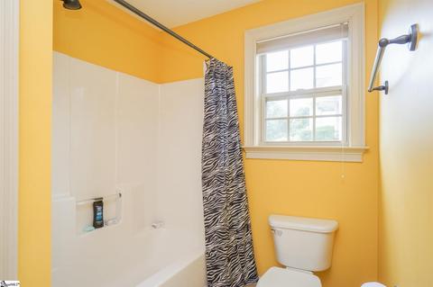 119 Elevation Ct, Greer, SC 29651 photo 20