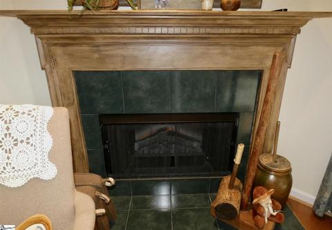 105 Periwinkle Pl, Moore, SC 29369 photo 9