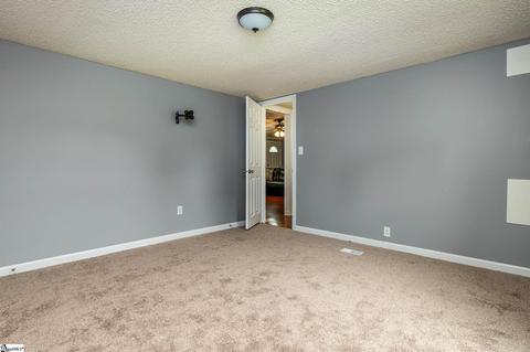 243 Tapp Rd, Greer, SC 29651 photo 15