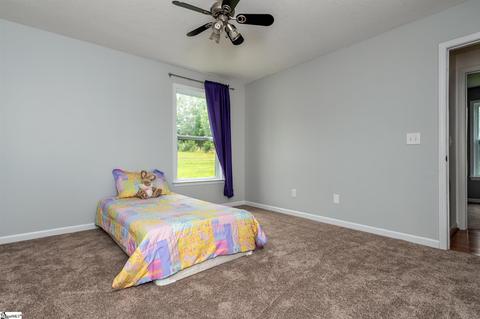 243 Tapp Rd, Greer, SC 29651 photo 21
