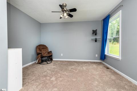 243 Tapp Rd, Greer, SC 29651 photo 18