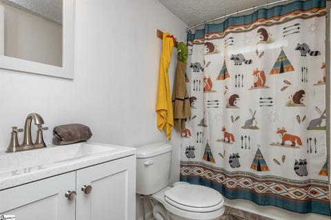 243 Tapp Rd, Greer, SC 29651 photo 22